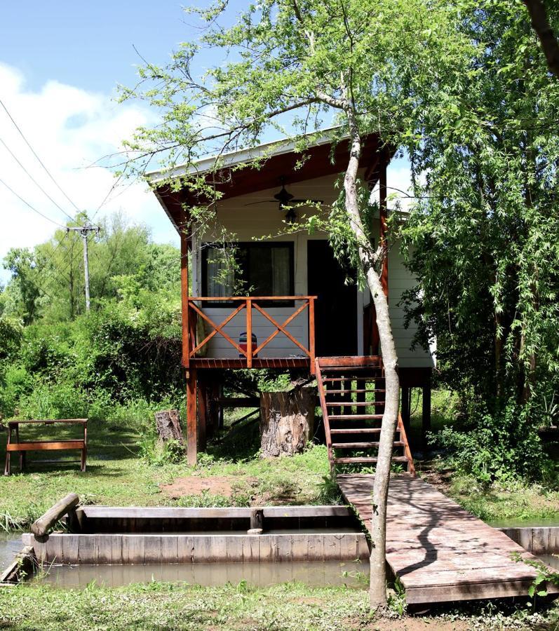 Viva La Pepa Cabanas Al Rio. Villa Tigre Bagian luar foto